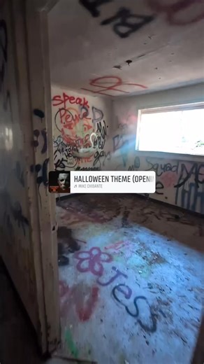 Stephen Davis on Reels