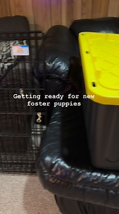 New foster puppies coming really soon. #PuppySetUp #GettingExcited | Larry_the_great_dane