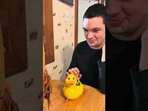 Megcos musical duck