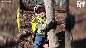 Hug a tree because Ryan Reynolds said so | NowThis Entertainment