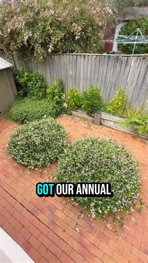 🏠 Homeowners, this feels like cheating… I just used this tool and found home insurance for under $800/year 🤯 All I had to do was enter my ZIP and age. Try it now it’s 100% free! | Jordan Robs