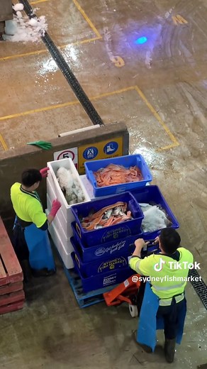 Exploring the Sydney Fish Market Auction Process