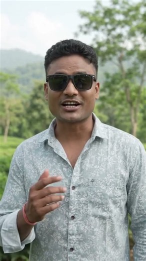 🌿 Exploring the Lush Tea Gardens and Hills