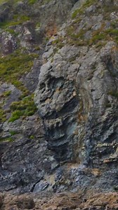 1.4K views · 57 reactions | Perranporth Beach, Cornwall  #facerock #ourpast #geology #Giants | Sib Sibby | Facebook