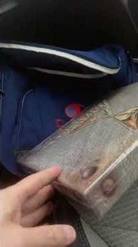 A Triumph at the Chicagoland Record Collector Show!