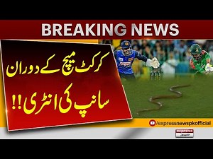 Snake Enters During Cricket Match | sri lanka vs bangladesh | Pakistan News | Breaking News