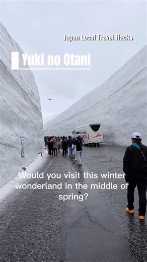 15m HIGH SNOW WALL?! ❄️ Japan's Most Epic Adventure #Shorts #JapanTravel