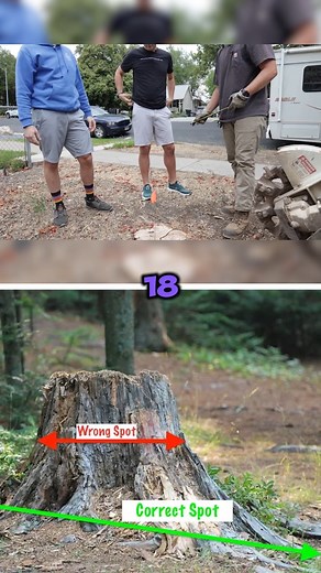 How to price tree trimming business | The Koerner Office Archive