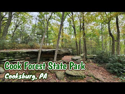 Cook Forest State Park - Cooksburg, PA