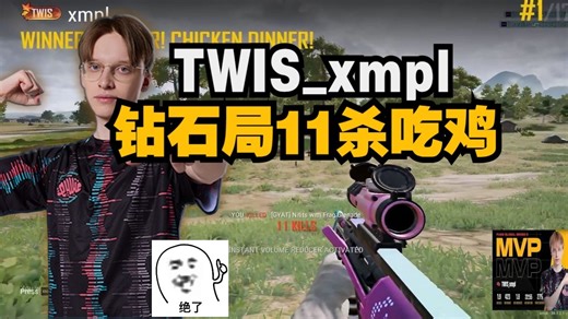 TWIS_xmpl钻石局12杀吃鸡，连狙属性加持，他的MK12好像没削，得心应手的准哥 准完了~
