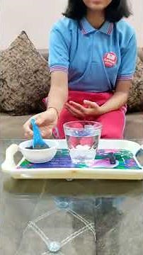 Anshika Singh | Magnetism | Grade 7 | Leeway School