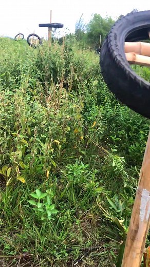 28 reactions | Work continues on our dragon fruit farm ! | Terence Martin | Facebook