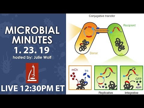 Gut microbiome engineering and global health threats - Microbial Minutes