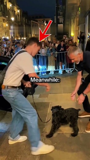 Tom & Zendaya Doing Long Distance 🥺