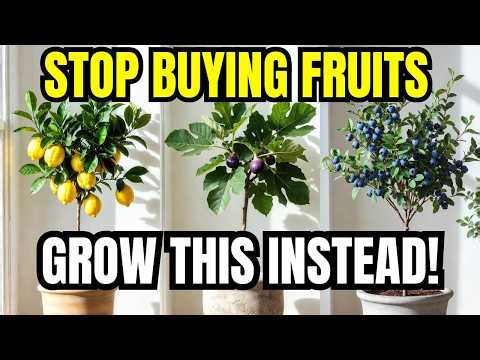 🍋 Top 10 Fruit Trees That Thrive in Pots & Small Spaces | Grow Fresh Fruit Anywhere! (Easy)