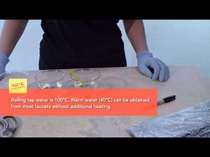 Biology Experiment 2 HOL Diffusion and Temperature