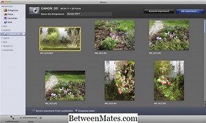 Unterschiede zwischen einem iMovie und einem iDVD Unterschied zwischen - Andere 2026