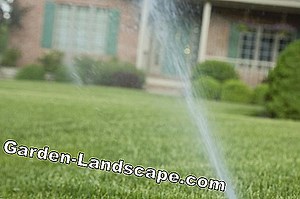 Lifestyle: Automatic Irrigation Systems - My Beautiful Garden | 2025