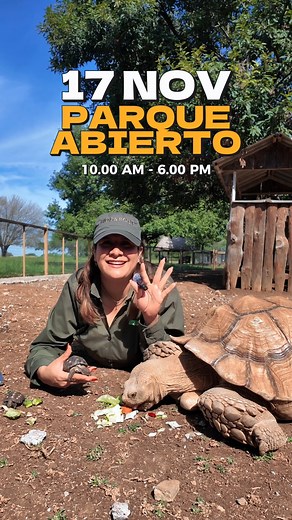 🐢✨ ¿Listos para este 17 de noviembre? ¡El puente se vive en Bioparque Estrella! 🌿💚 Ven a conocer a nuestras tortugas gigantes, y descubre de cerca a muchísimos animales más 🦒🦓🦁 mientras disfrutas de un día lleno de naturaleza, aventura y momentos únicos en familia. 🌞🙌 🎟️ Abrimos de 10 a.m. a 6 p.m. 📍 ¡Te esperamos para vivir una experiencia salvaje que no olvidarás! #BioparqueEstrella #TurismoMonterrey #PuenteEnBioparque | Bioparque Estrella Monterrey