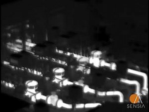 Intelligent Thermography: Automatic temperature control system