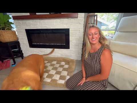 Swooflia Dog Cat Wig Colorful Mohawk Pet Wigs for Small Large Medium Breed Dogs, Cool Halloween Co