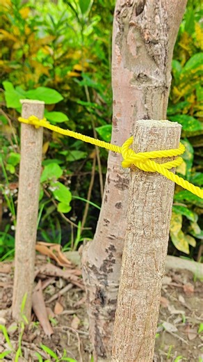 Simple Rope Knot That Holds Tight ✅ #shorts #lifehacks #viral