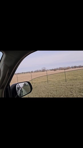 Bobby Poole on Reels