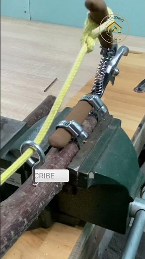 Why I'll Never Use a Ladder to Cut Branches Again (DIY Pole Pruner)