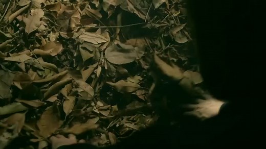 Xibalba: A maják átka (2017) HunSub