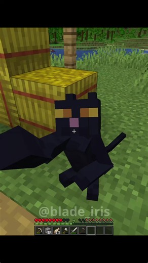 Thankful ahh cat 💎Want to animate like me? Check out DevBlade on my patreon link in bio #minecraft #meme