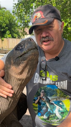 1.2M views · 62K reactions | Meet the amazing Professor, my...