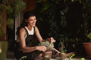 Awaken your green thumb with these 5 videos on gardening