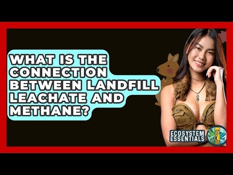 What Is The Connection Between Landfill Leachate And Methane? - Ecosystem Essentials