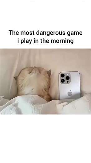 > “Old is Gold ✨ | Charlie Chaplin Fans’ Paradise 🎬 Silent Comedy, Unlimited Smiles 😍” 4.