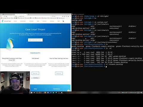 Using Clear Linux as a SteamOS-like console operating system
