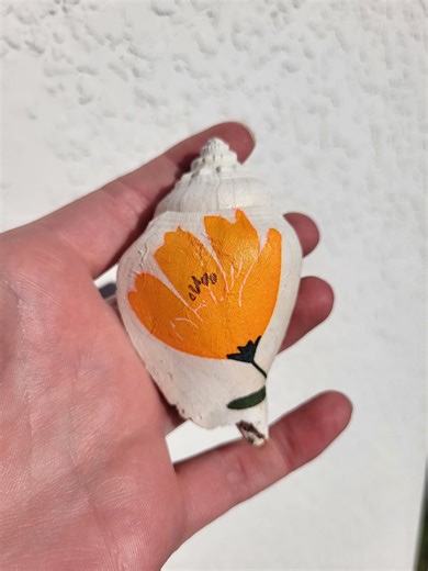 Floral Decoupaged Fossil Strombus Shell From Florida, 2 Million Years Old - Etsy