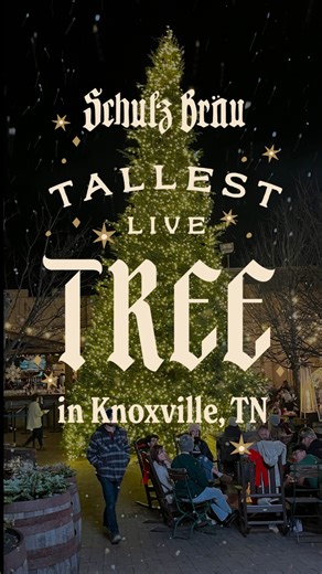 Schulz Bräu Brewing Company on Instagram: "🎄 38 FEET OF CHRISTMAS MAGIC 🎄 Knoxville’s largest live Christmas tree is here and it’s even BETTER in person. See it for yourself at Schulz Brau Brewing ✨🍺 #knoxville #largest #live #tree #christmastree #christkindlesmarkt #magic #holiday #germanbrewery"
