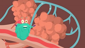Мультик для детей Дыхательная система человека