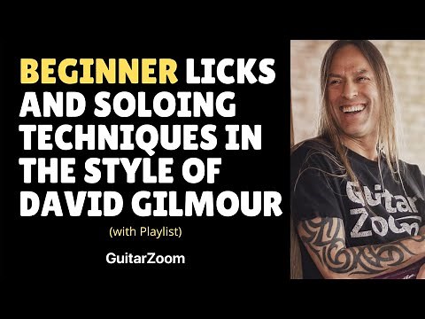 Beginner Licks and Soloing Techniques In The Style Of David Gilmour by Steve Stine