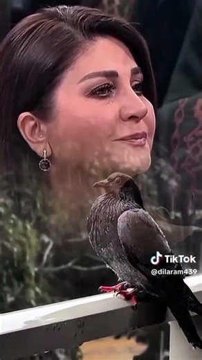 Sibel Can - Üşüyorum