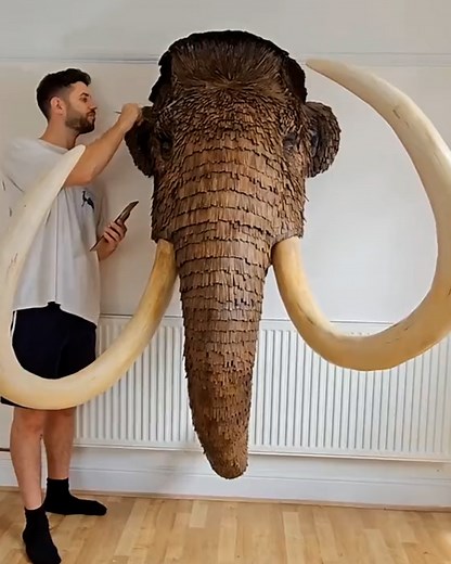 1M views · 36K reactions | The lion one is incredible! 女朗 | UNILAD | Facebook