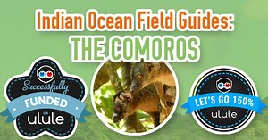 Indian Ocean Field Guides: Comoros