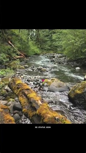 Mai Tenu Samjhawan Kee 👀💗🥹 \/___---#lyricsvideo #lyricsvideo #love #songlyrics #lyricsstatus #lyrics