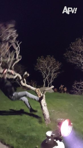 Hilarious Fail: Tree Cutting Gone Wrong!