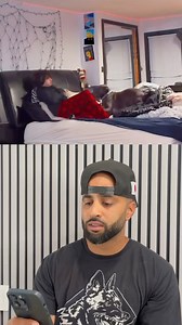 1.1M views · 17K reactions | Listen Fam❗️If you treat a dog like a human, they will treat you like a dog! Remember, dogs are natural predators and pack animals and do best with structure and boundaries✅ Remember, you could take a dog out the pack, but you can’t take the pack out of the dog!  #calik9 #dogtraining #dogtrainer | Cali K9 | Facebook