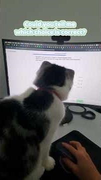 when you have a test!! #cat #funny #3danimation #cute