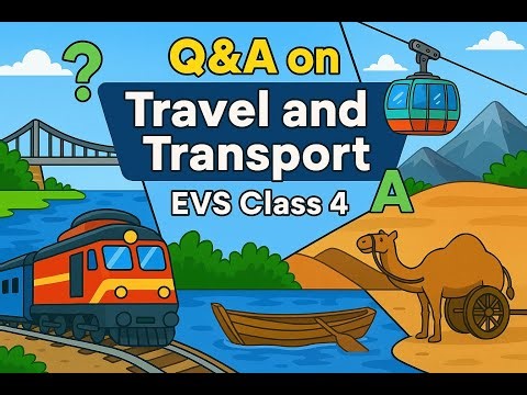 Q&A : Travel and Transport EVS - Class 4
