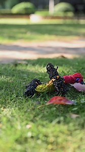 TRIWONDER Reflective Guyline, Tent Cord Nylon Paracord Rope with Guyline Adjuster for Camping Tent, Outdoor Packaging (Black - 4 Pack)