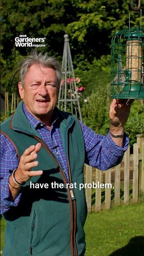How to keep RATS off your bird feeders