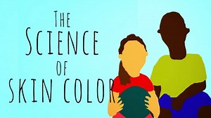 The science of skin color (in TED-Ed GIFs)